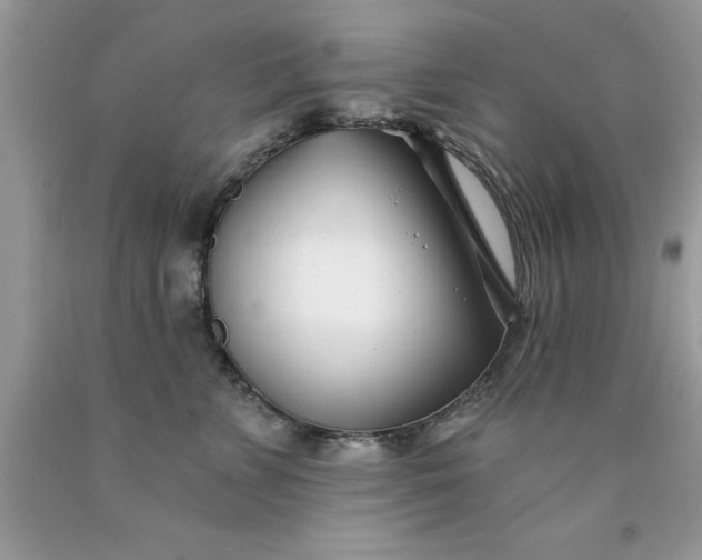 X0000090480715200707272319