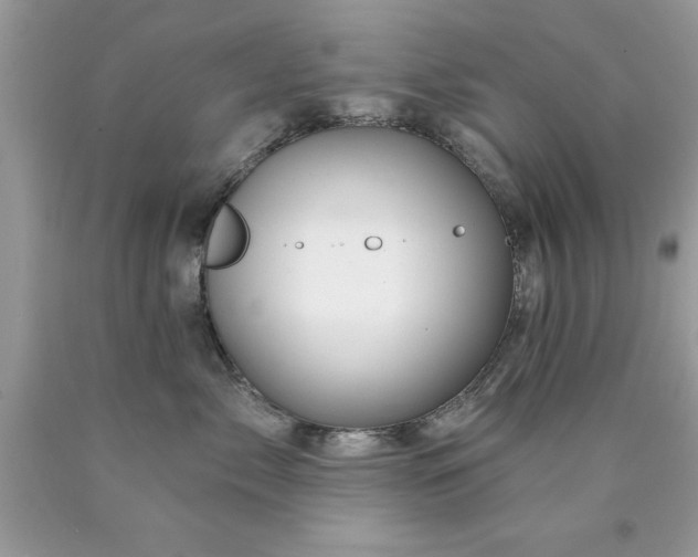 X0000090480717200707272319