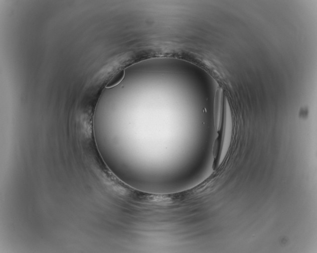 X0000090480719200707272319