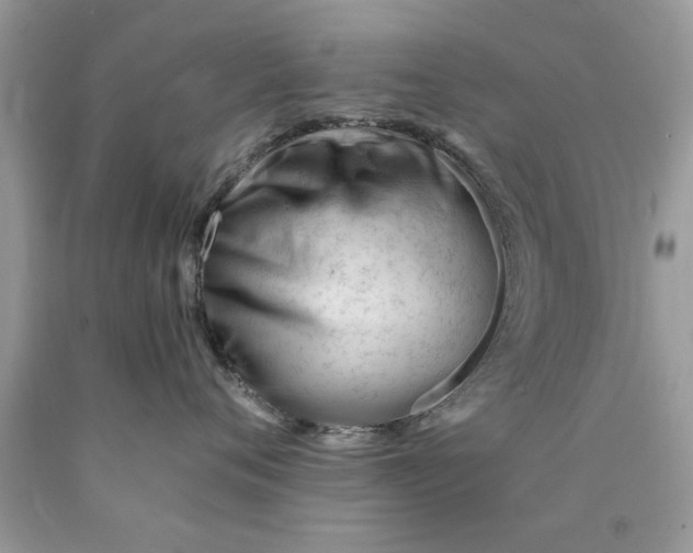 X0000090480720200707272319