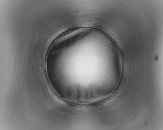 X0000090480721200707272318