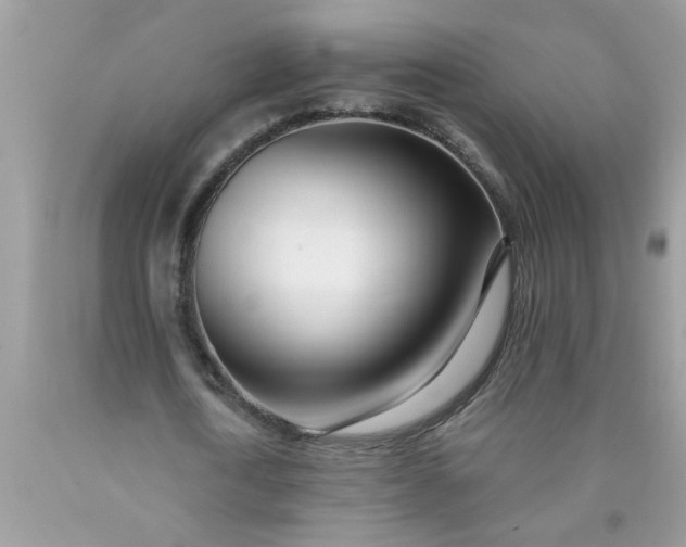 X0000090480722200707272318