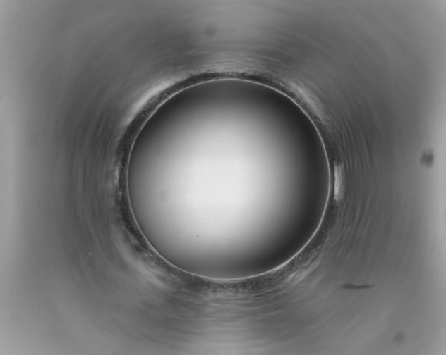 X0000090480723200707272318