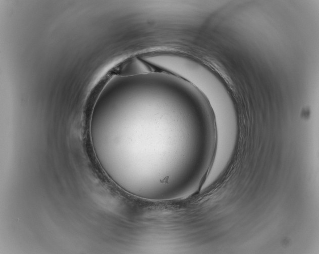 X0000090480724200707272318