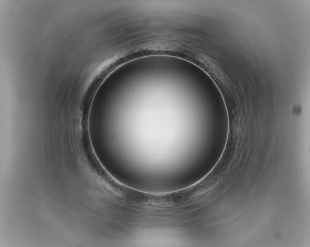 X0000090480727200707272318