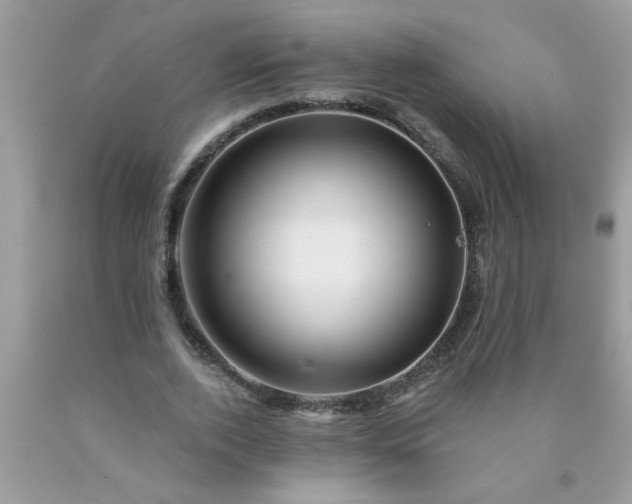 X0000090480728200707272318