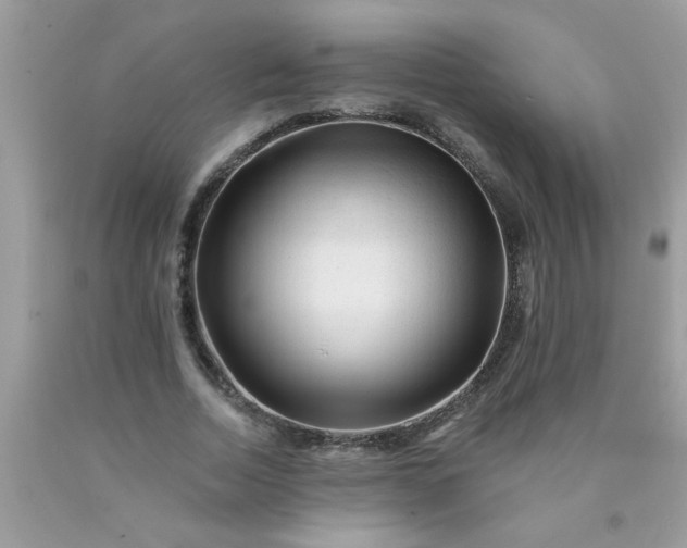 X0000090480730200707272318