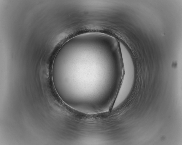 X0000090480731200707272318