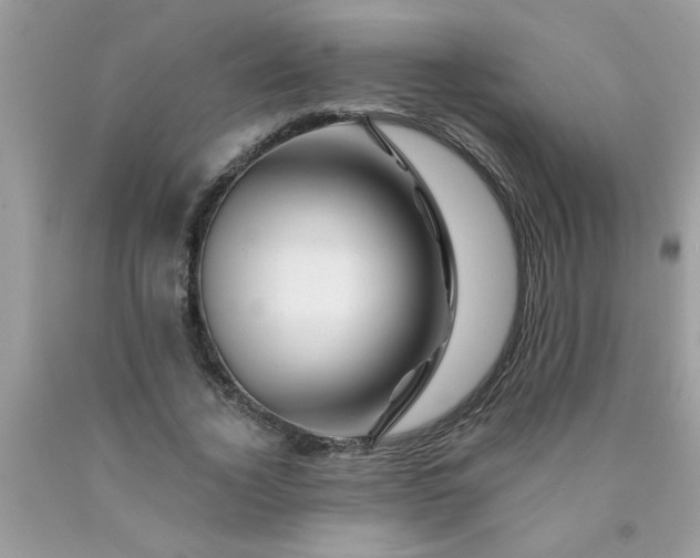 X0000090480732200707272318