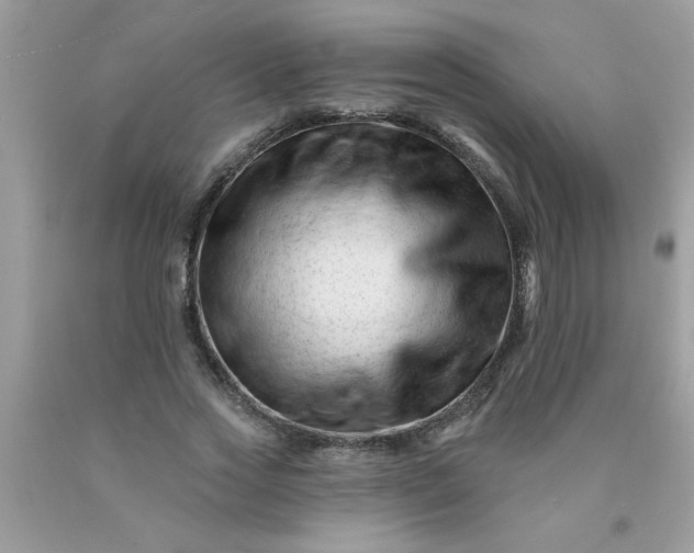 X0000090480733200707272318