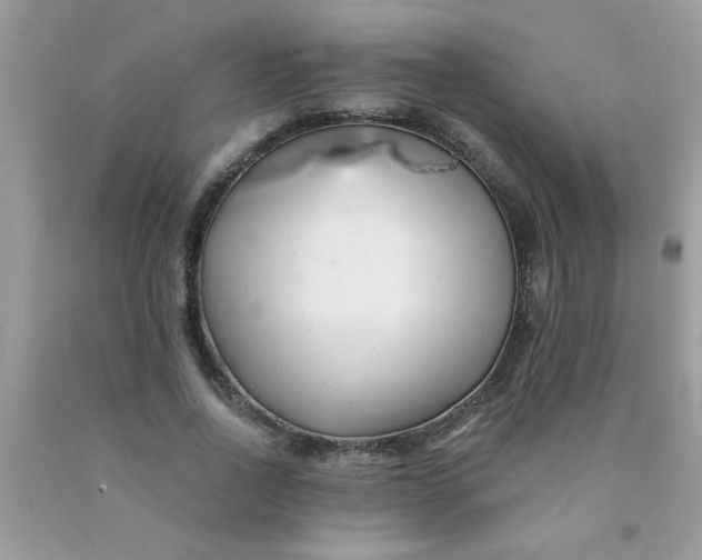 X0000090480734200707272318