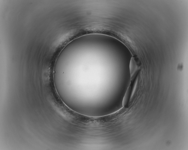 X0000090480735200707272318