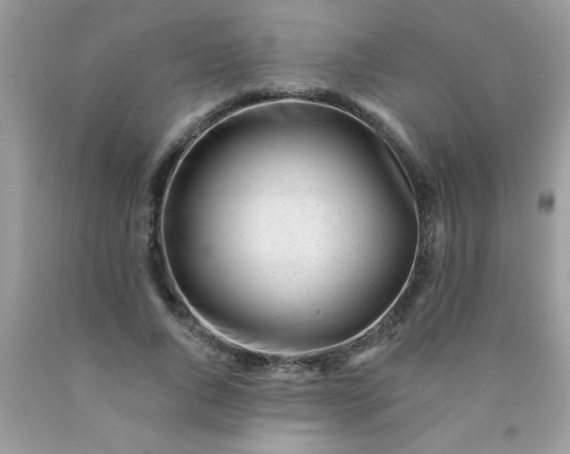 X0000090480736200707272318