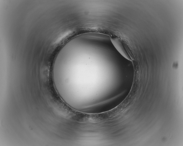 X0000090480739200707272318