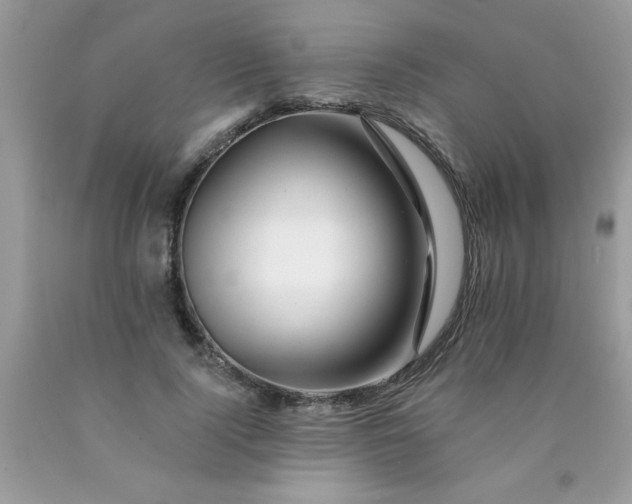 X0000090480740200707272318