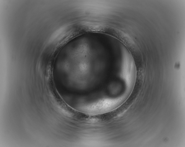 X0000090480741200707272318