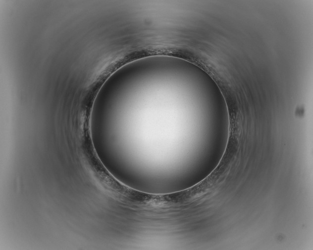 X0000090480742200707272318