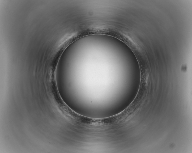 X0000090480744200707272318