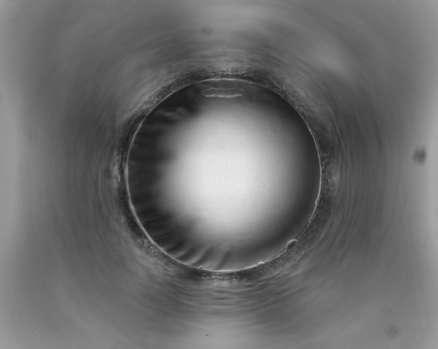 X0000090480746200707272318