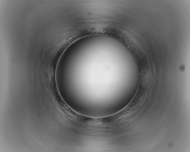 X0000090480747200707272318