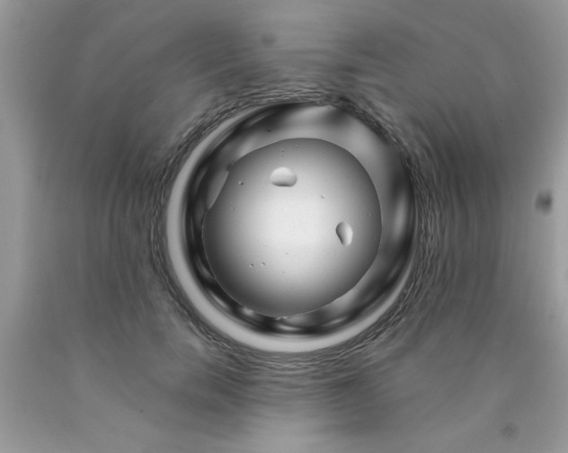 X0000090480750200707272318