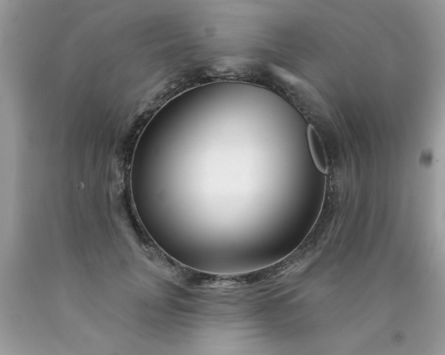 X0000090480751200707272318