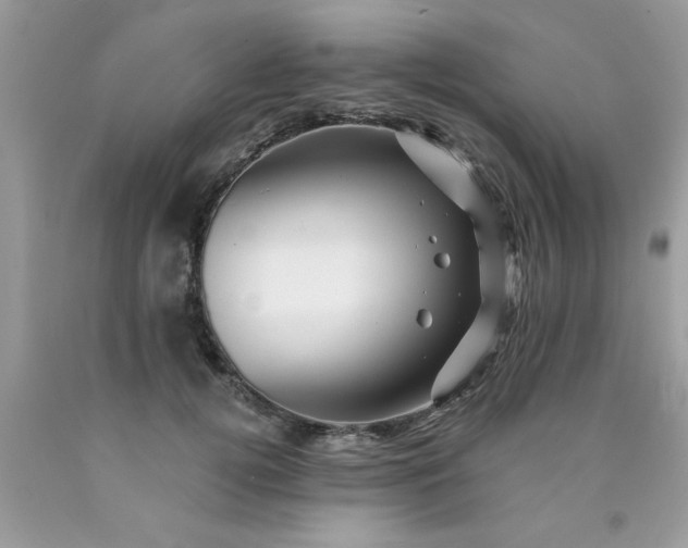 X0000090480752200707272318