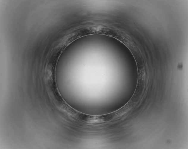 X0000090480754200707272318