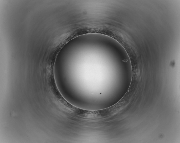 X0000090480756200707272318