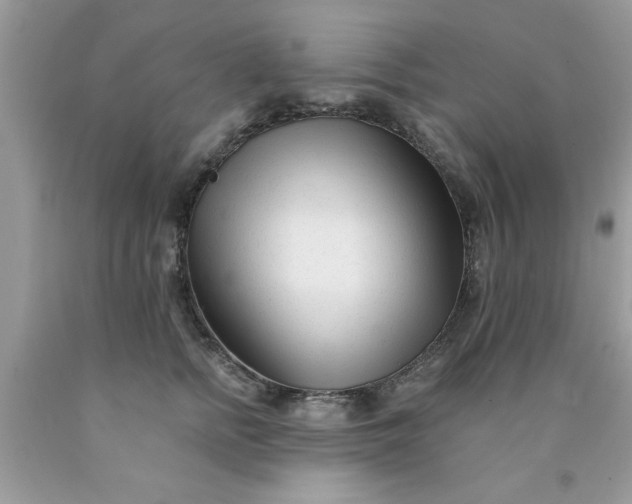 X0000090480758200707272318