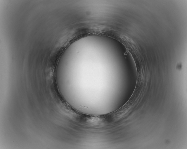 X0000090480759200707272318