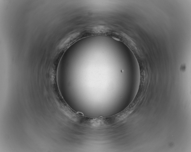 X0000090480762200707272319