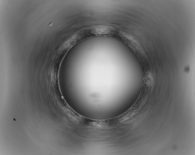 X0000090480763200707272319