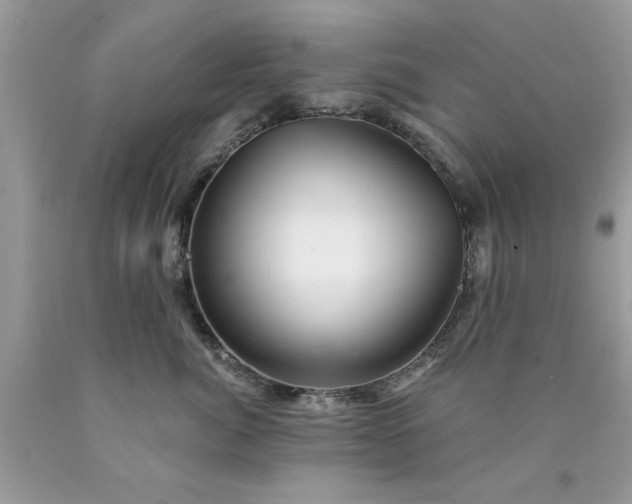 X0000090480764200707272319