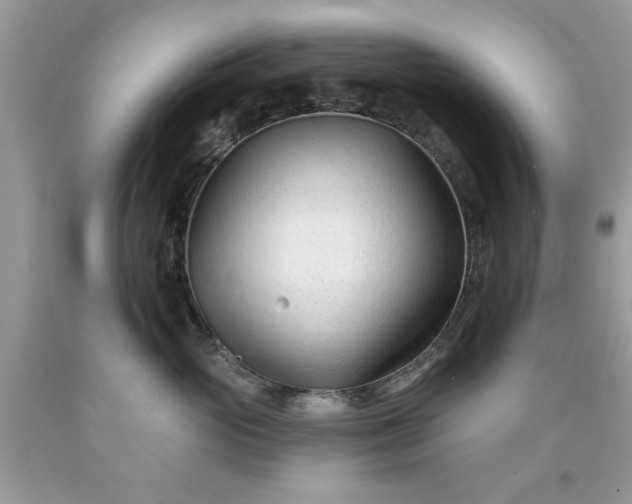 X0000090480765200707272319