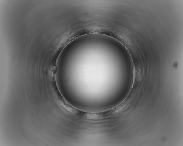 X0000090480766200707272319