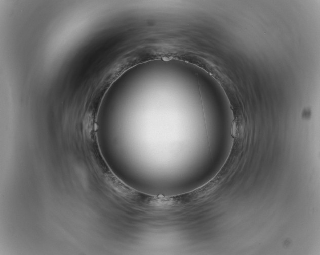 X0000090480767200707272319