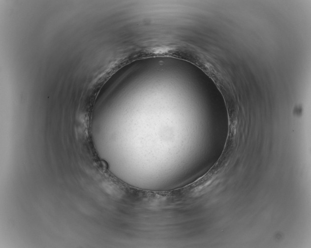 X0000090480772200707272318