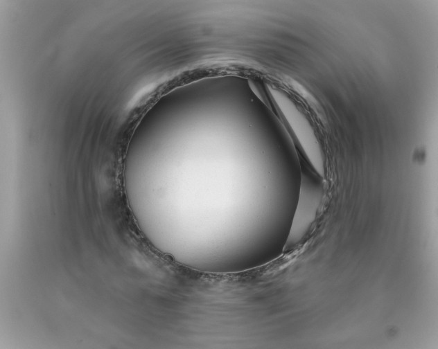 X0000090480775200707272318