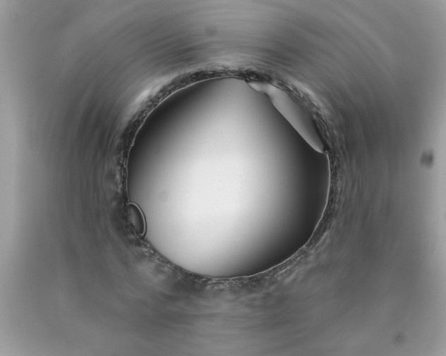 X0000090480776200707272318