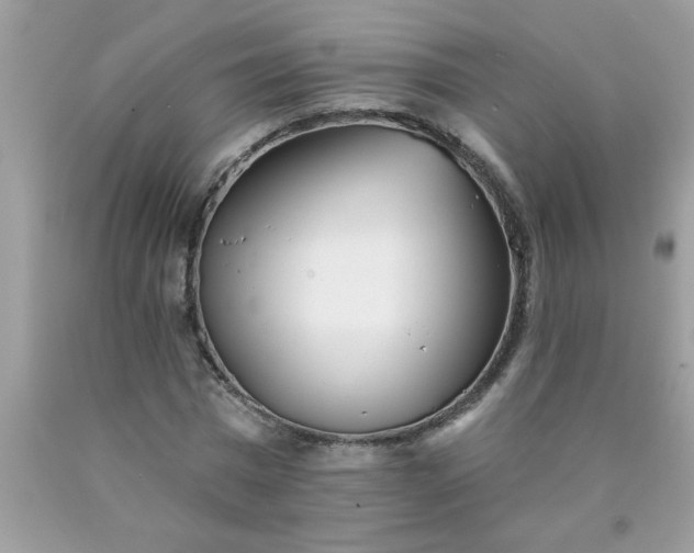 X0000090480777200707272318