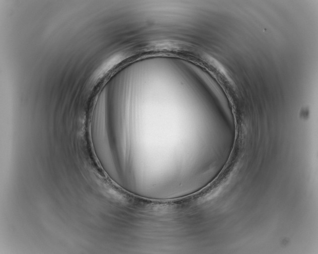 X0000090480778200707272318