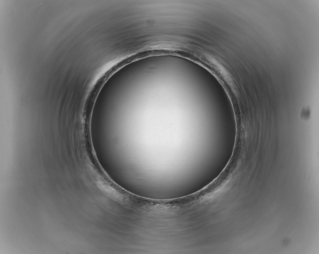 X0000090480779200707272318