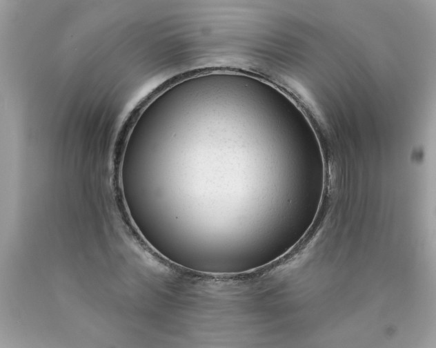 X0000090480780200707272318