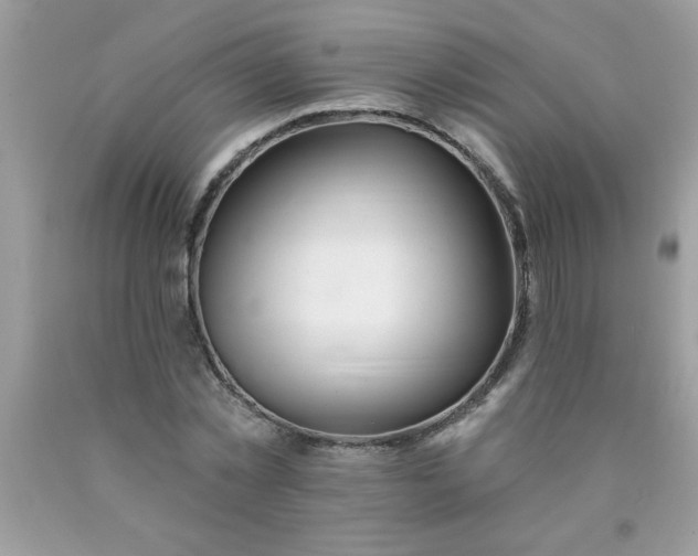 X0000090480781200707272318