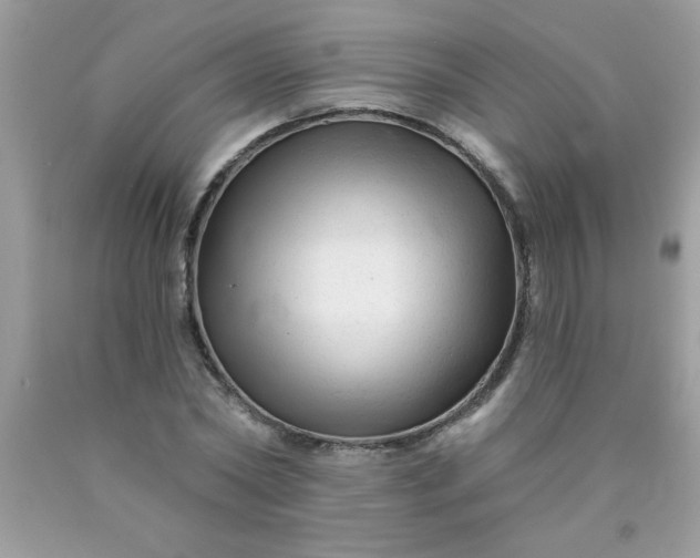 X0000090480782200707272318