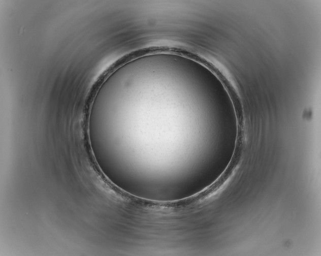 X0000090480783200707272318