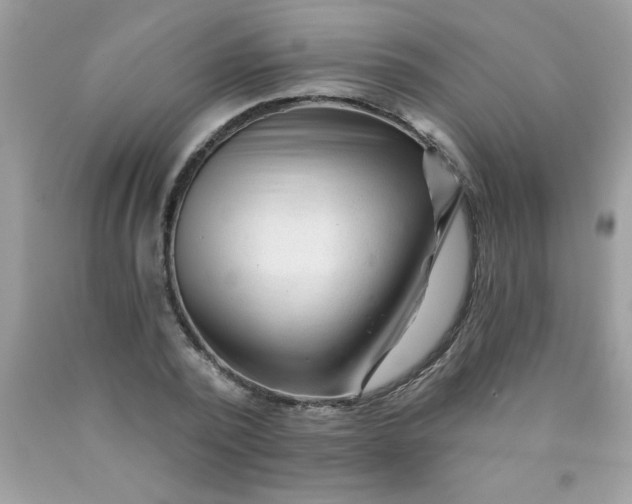 X0000090480784200707272318