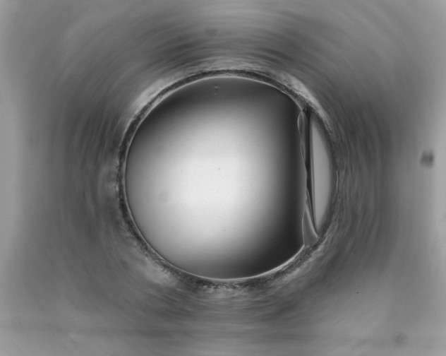 X0000090480786200707272318