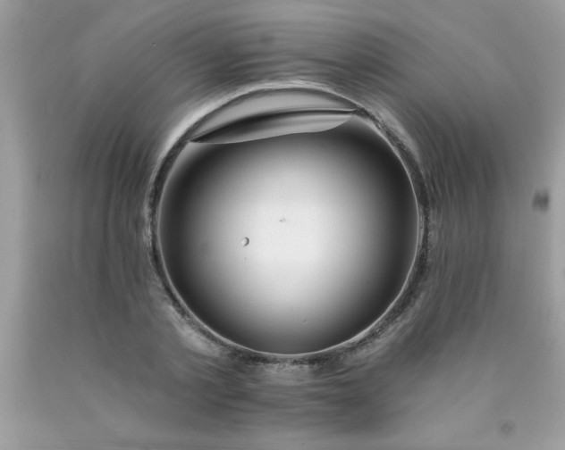 X0000090480789200707272318